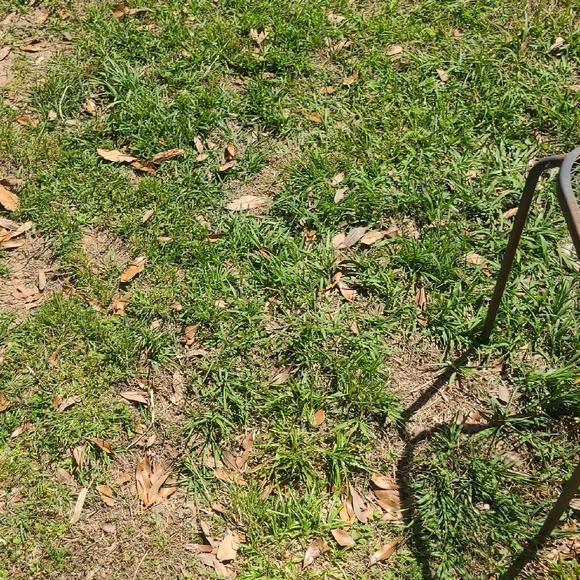 Brown - Picture 9 of 9